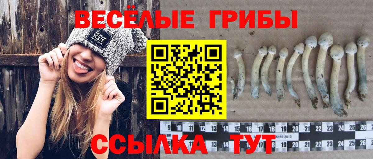 Псилоцибиновые грибы Magic Shrooms Дедовск
