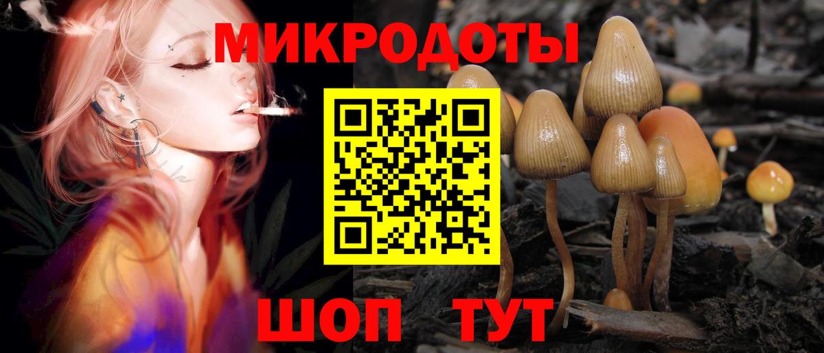 Галлюциногенные грибы Cubensis  Вход с VPN  Псилоцибиновые грибы Psilocybe  Дедовск 